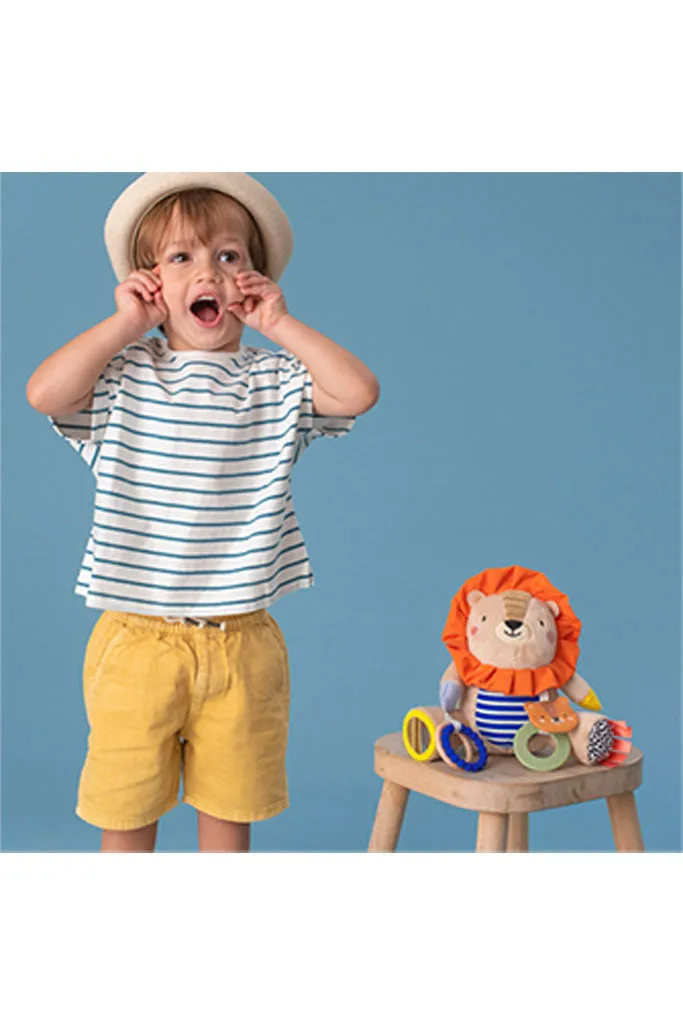 Harry the Lion Activity Toy