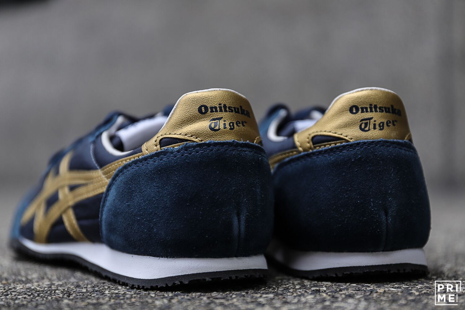 Serrano Navy/Gold (D109L-5094)