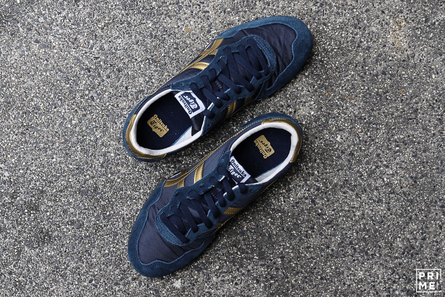 Serrano Navy/Gold (D109L-5094)